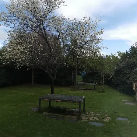 Rurales Alvado Tamajon